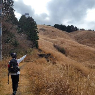 ミルたんさん　今日もよろしくね😂