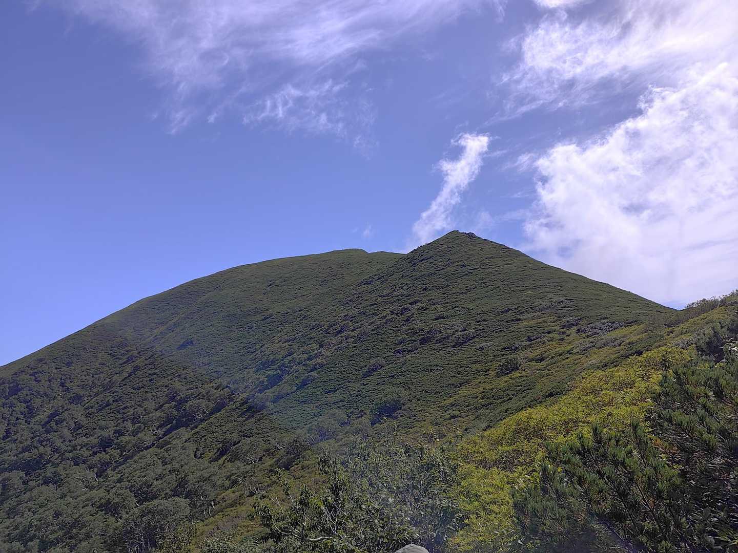 曲り沢登山口-チロロ岳 往復コースの写真