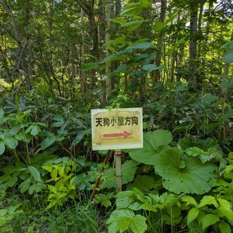 ようやくここまで