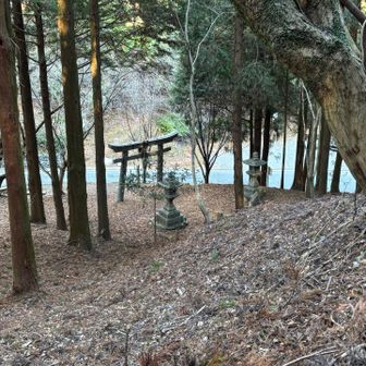 うーん、写真撮れてない😞