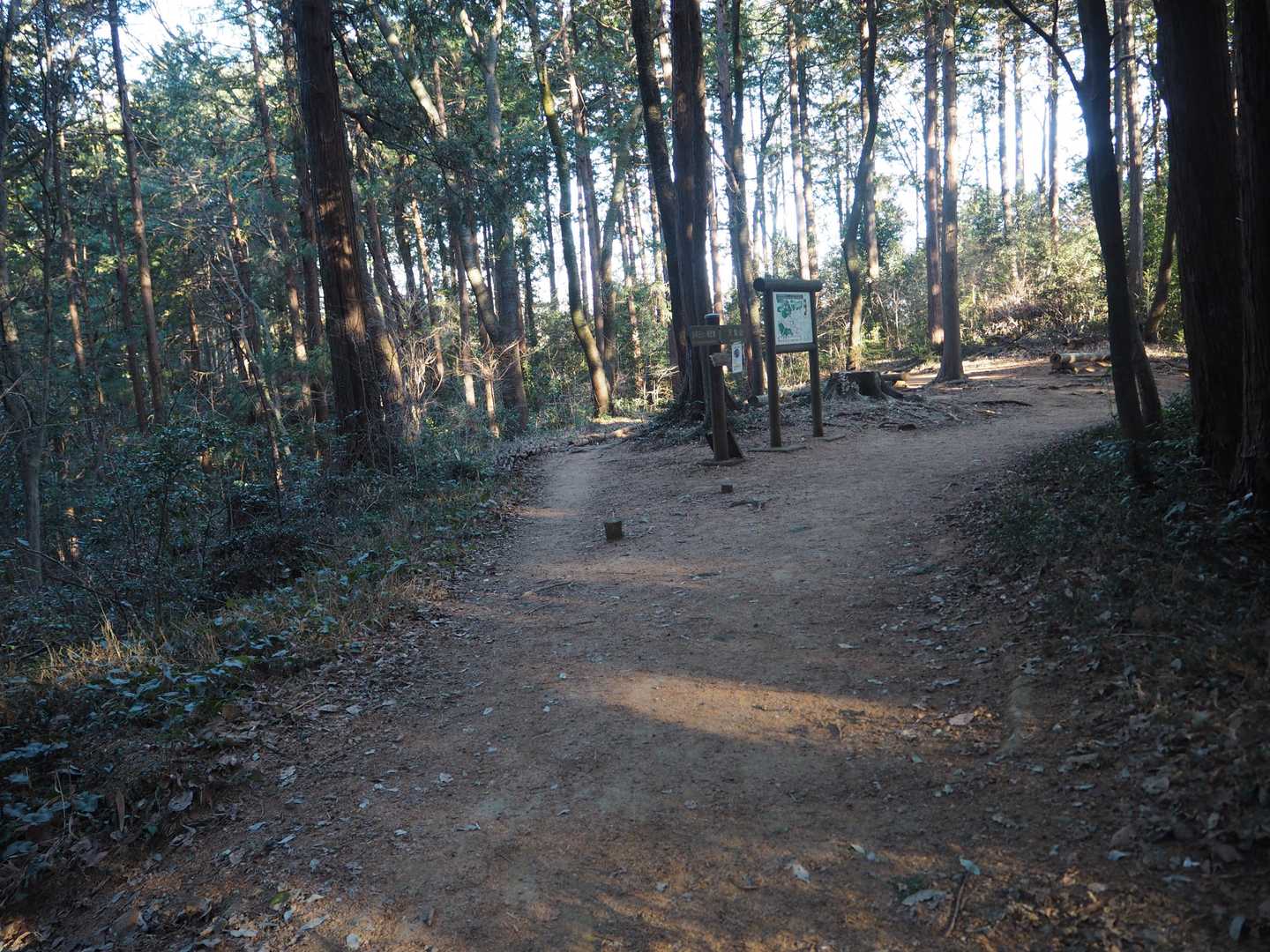 だいぶ踏み固められています。