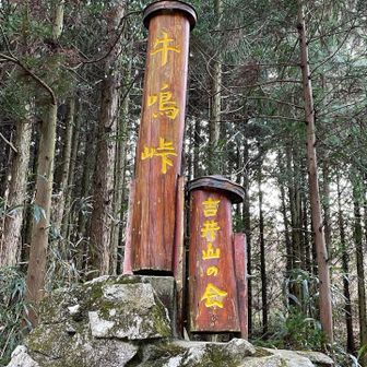 牛鳴峠方面へ下山🐮
耳納連山の端から端まで！完全制覇しました🙌