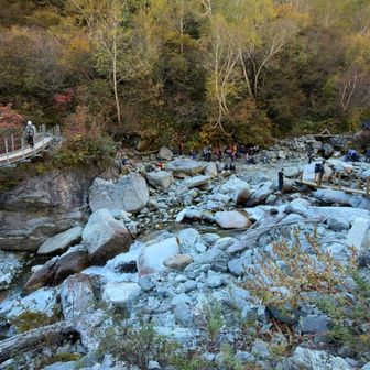 本谷橋まで戻ってきました

本格的な登山道は終了。こっから横尾まで1時間ちょっと、標高差は150mほどしかありません