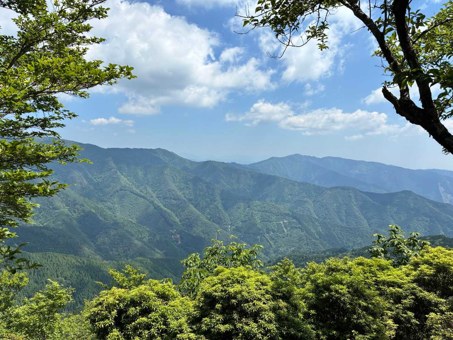 開けた✨尾崎山？