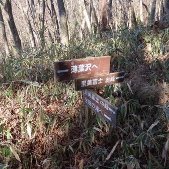 山頂までもう少しです