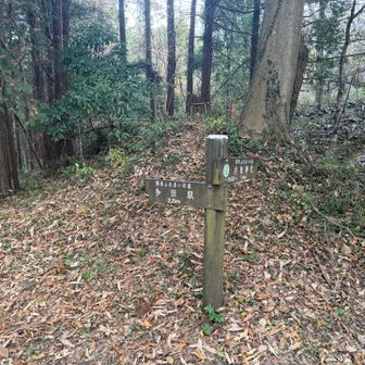 朝スタートした多田駅まで2.5kmって意外と距離もトータルでは歩いたっぽい。