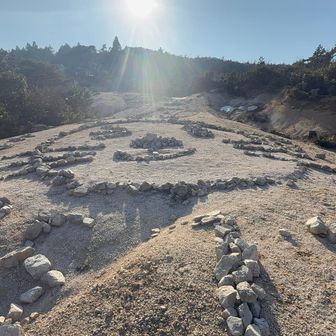 近くに来て見ました