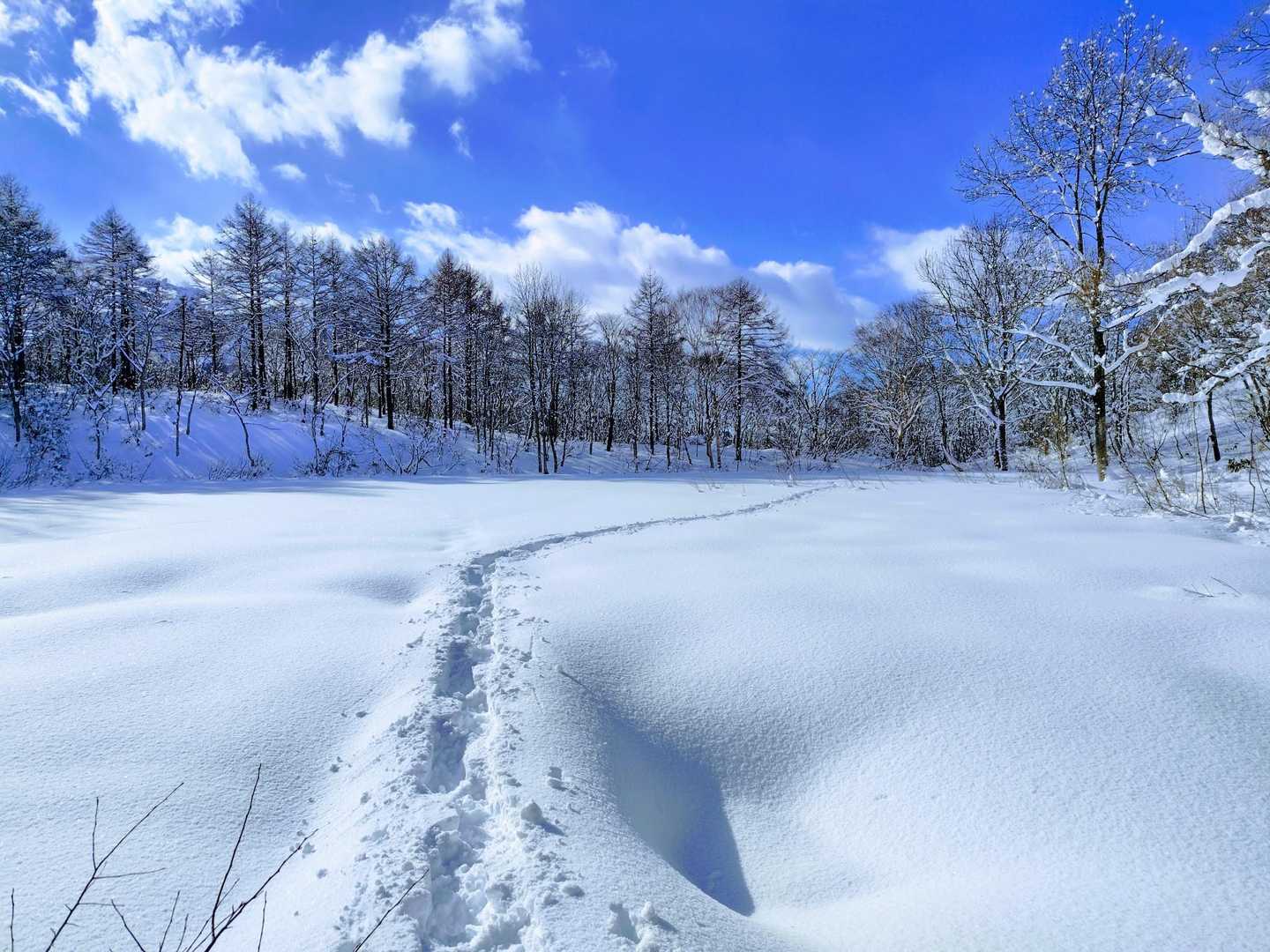 袴湿原✨️
湿原へのINする場所少し間違えた。