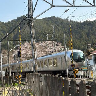 東吾野駅に帰ってきました
おつかれ山でした〜