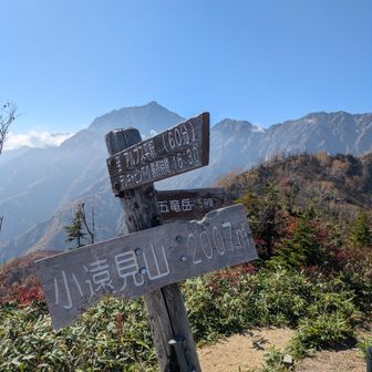 小遠見山山頂からの景色が絶景
長い下山だけど、紅葉に圧倒される
山々が絶景過ぎて飽きない🩵
