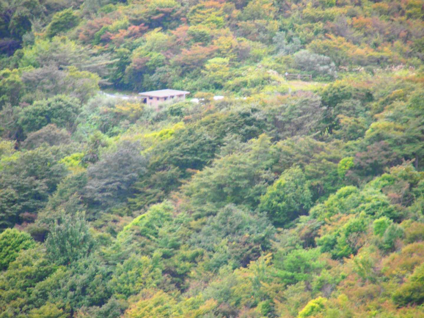 みっけ！
トイレの建物が分かりやすい🔍