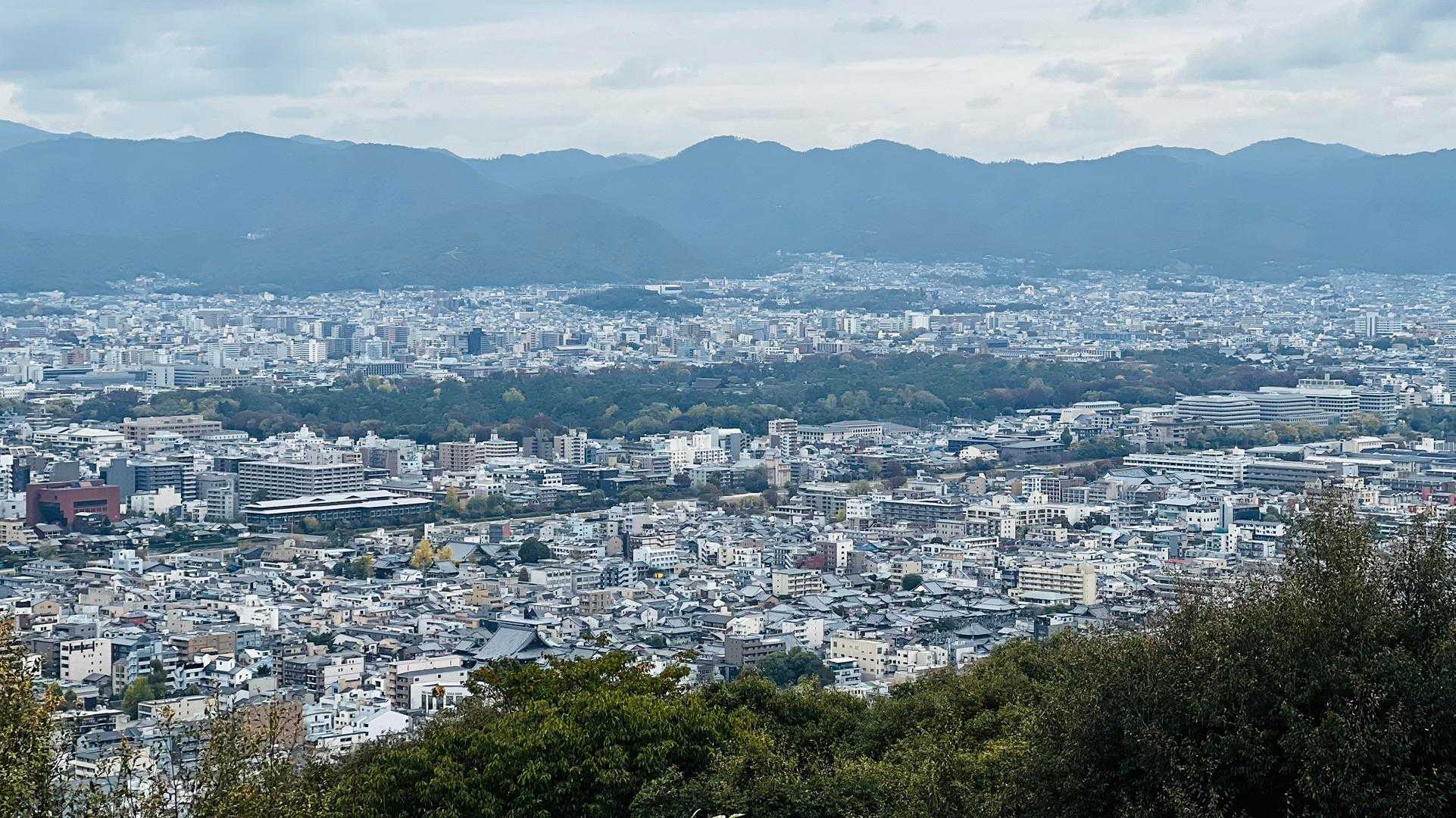 舞台からの眺め
御所の森🌳