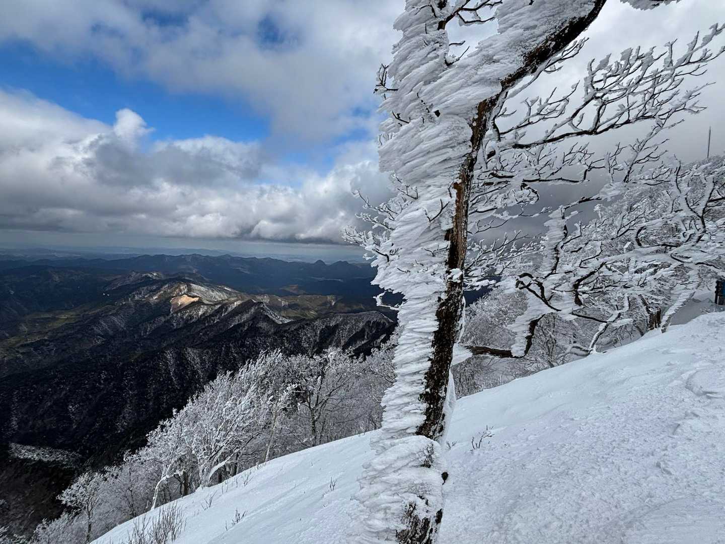 高見登山口→山頂→平野バス停　周遊コースの写真