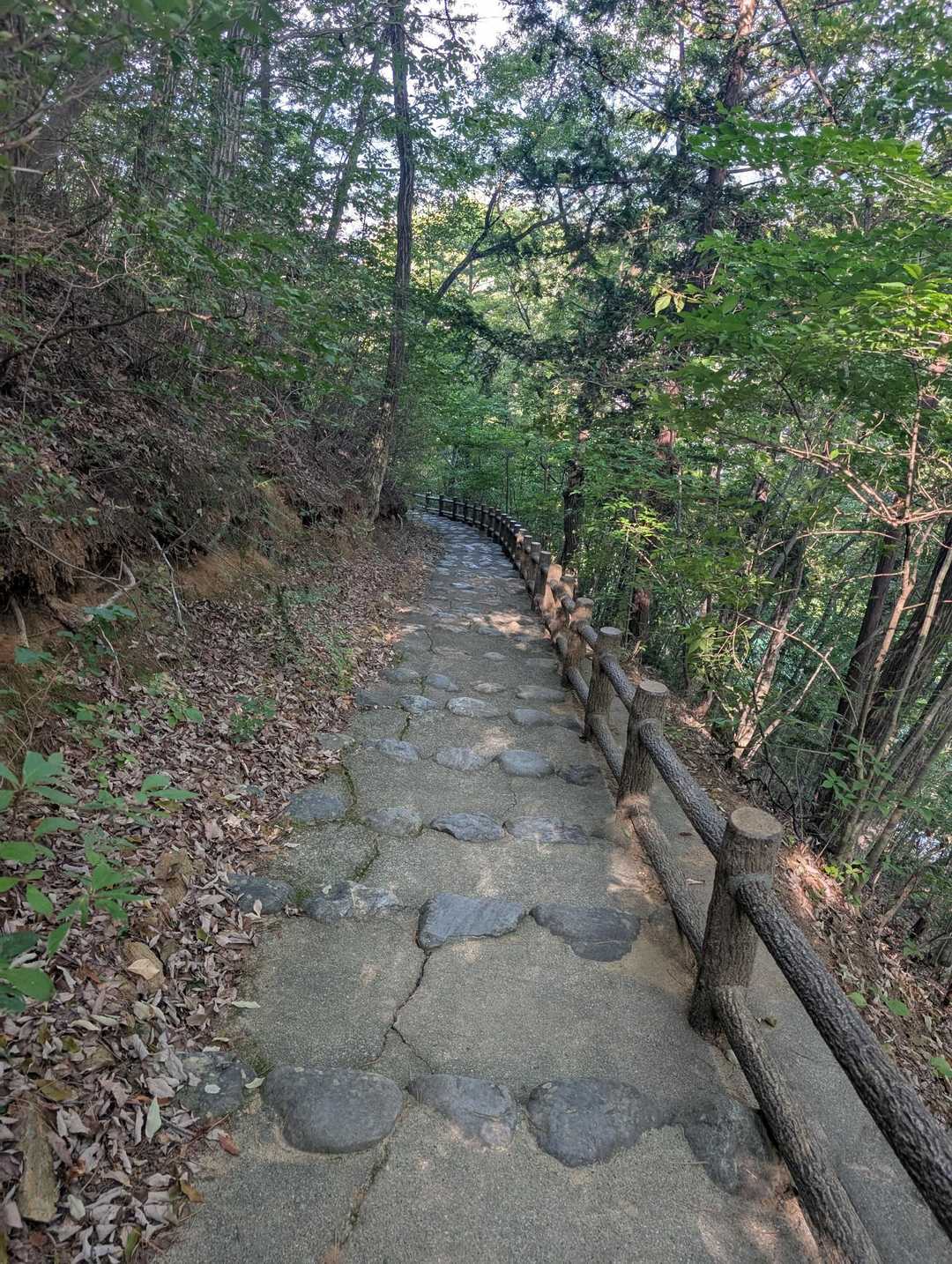 周回コースで下ります。