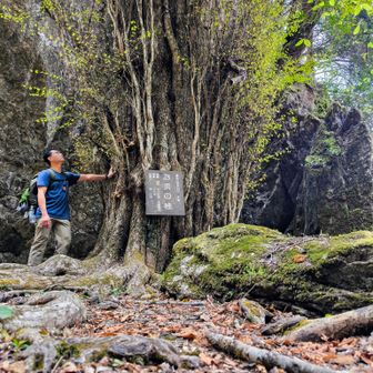 Shuto Hiker