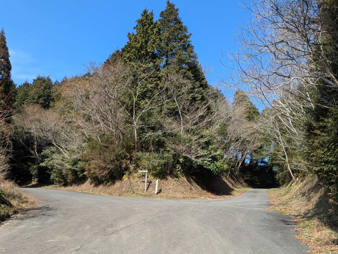 林道から駐車場🅿️まで戻ります🚶🚶🫱👊👊