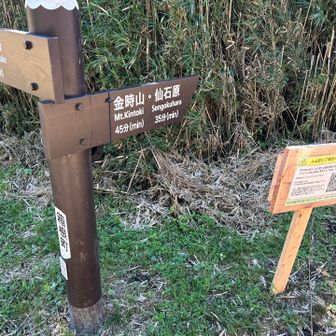 矢倉沢峠分岐点を金時山へ