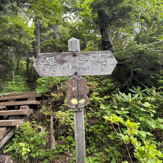 湯の花峠到着。