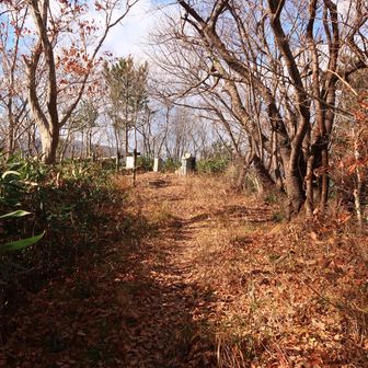 石森山、よく判らなかったがうまく周回出来ました！