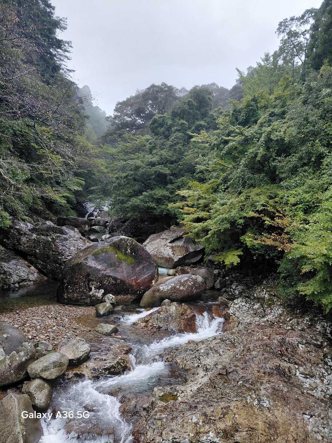 三本杭登山口-御祝山-三本杭 往復コースの写真