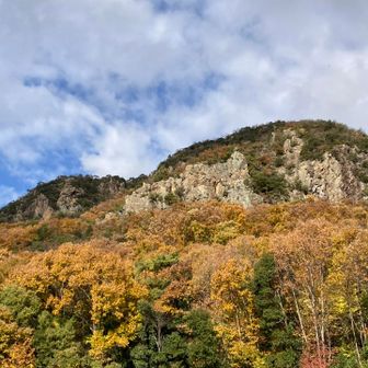 おぉ〜鷹巣山立派(^^)/