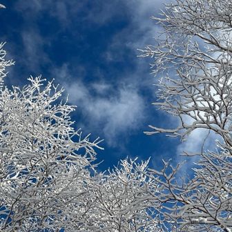 あー、綺麗だな🥰