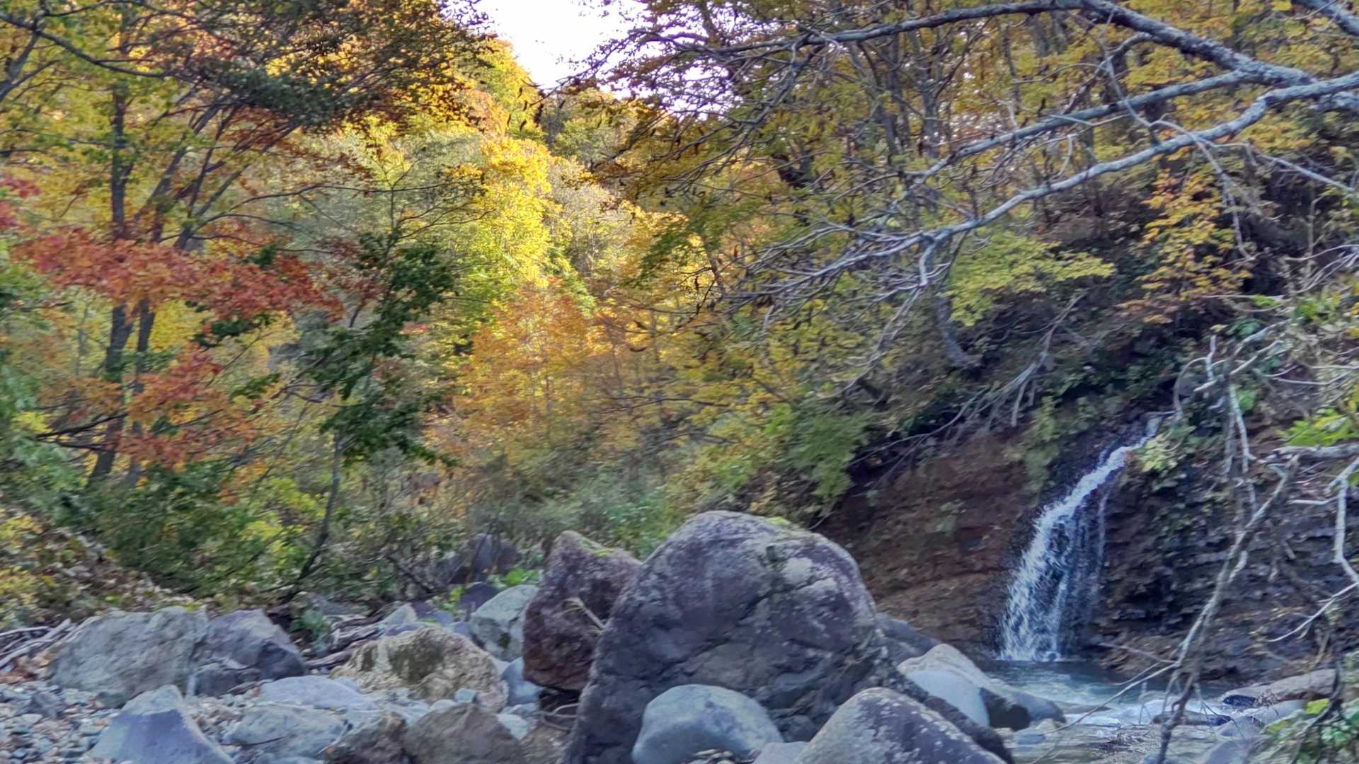 中沼登山口-六沢山-東焼石岳 周回コースの写真