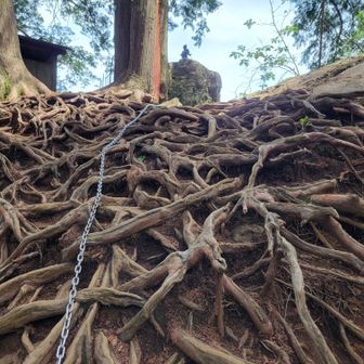 登りは勢いで登れるけど、下りは、足場が見えず怖い😱