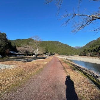 キャンプin海山と銚子川