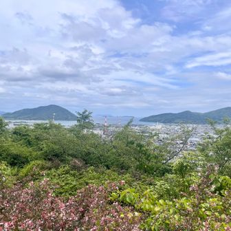 向島方面