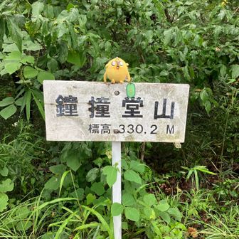 お疲れ様です。鐘撞堂山(330m)山頂に到着です。駐車場からあっという間に到着しました。