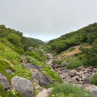 一瞬沢かと思ったけど、登山道