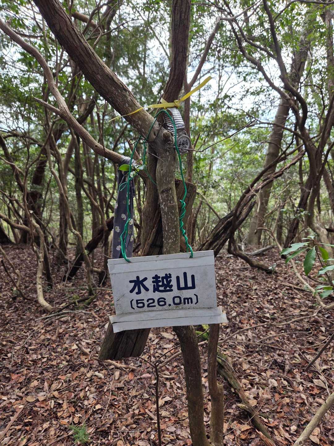 眺望は無し