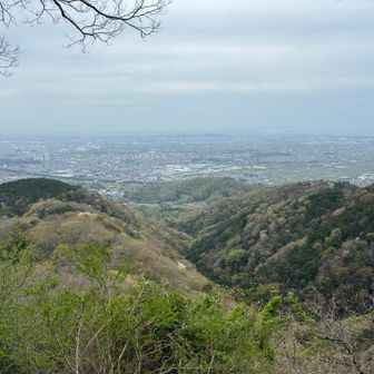 左のが聖峰なのかな🤔
