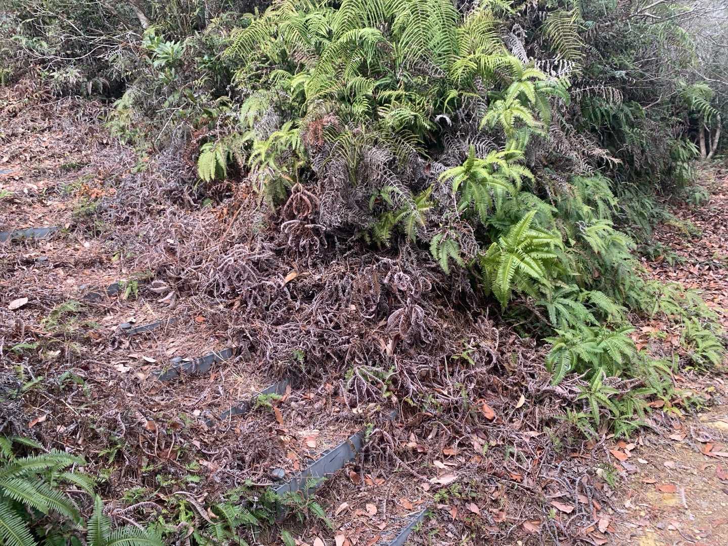 ここを左に登って
川向山⛰️を先に登りましたが
降りやすさを考えると
帰りに川向山⛰️かな