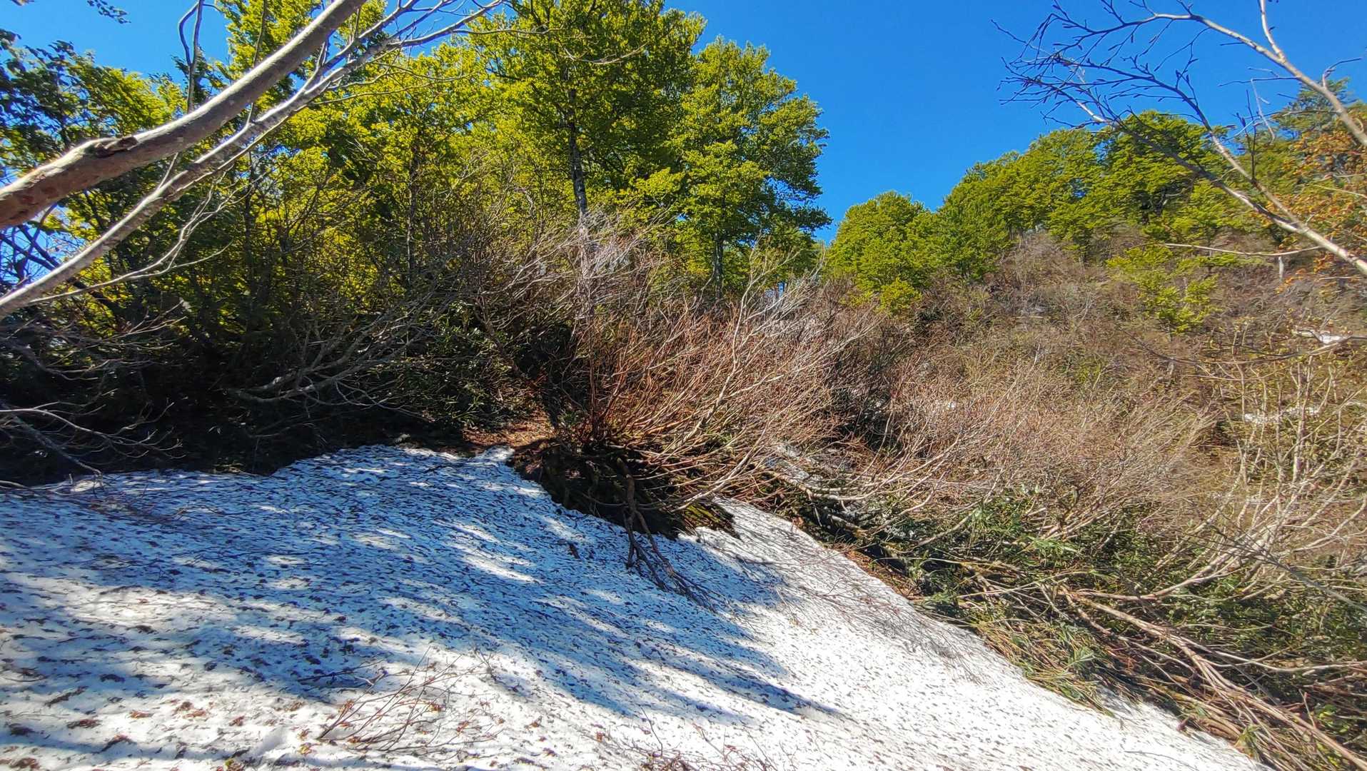 ちょこっと雪渓「低山と侮るなかれ」滑らないように。