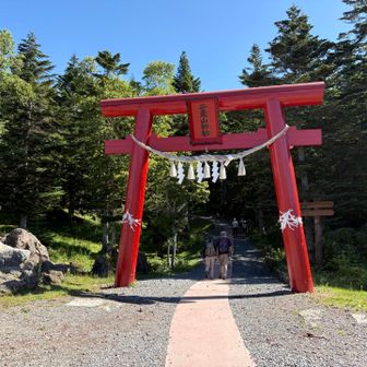 赤い鳥居は二荒山神社の鳥居でした。