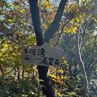 三河湾展望台とあるけど、さっきのスポットで十分綺麗かな