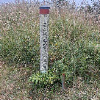 ここからも大川入山への登山道がありました