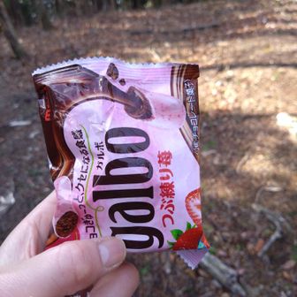 しかしお腹が空いたので、これを食べながら歩きます。なんと6 粒しか入ってませんでした😅
なんでも値上がりですからねえ。