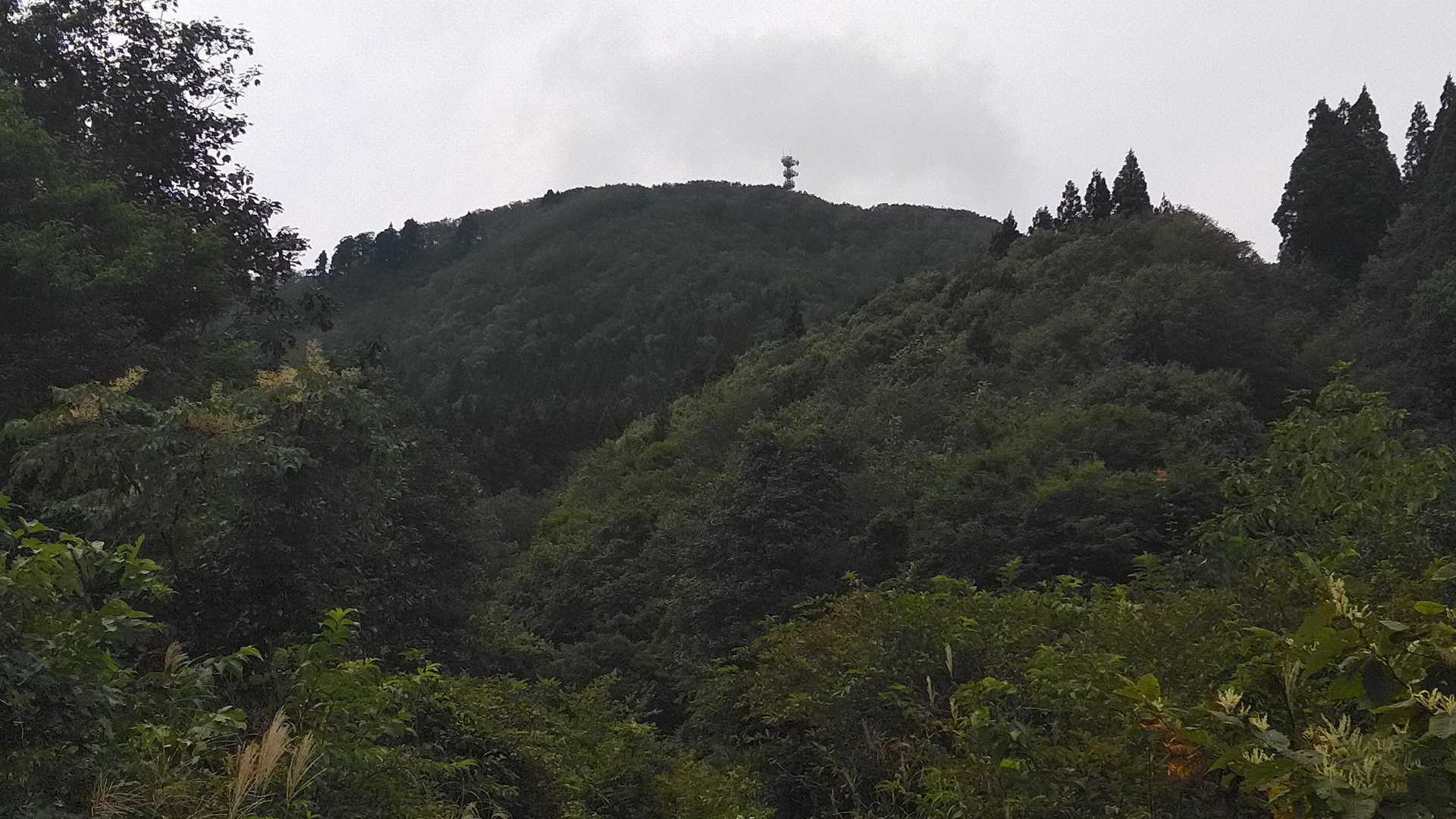 急な道