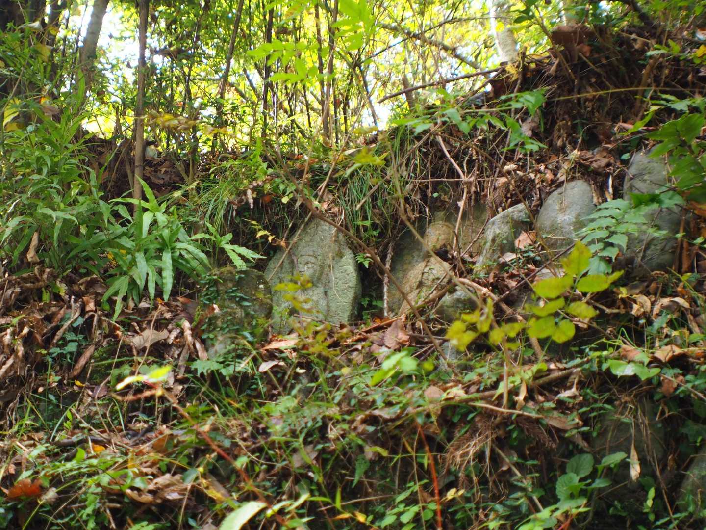 『むし歯地蔵尊』
その昔、村人は歯が痛くなってもどうすることもできませんでした。煎った大豆を供えて祈ると不思議と治ったそうな…