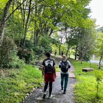 お次は茶臼山へ♪

こっちかな？
間違えそうになると「ちゃうっす、ちゃうっす」と後ろでhige氏が教えてくれます