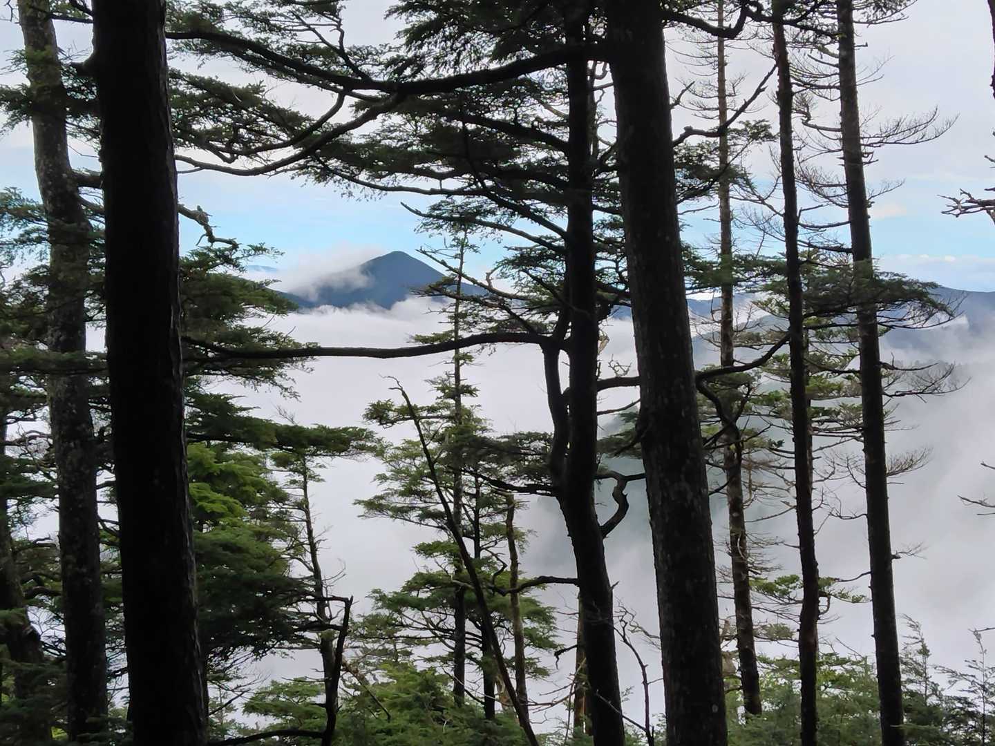 富士山でした😀