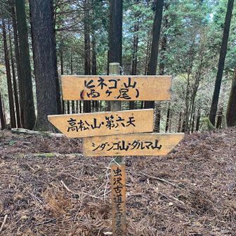 今日ピーク多いっ‼️