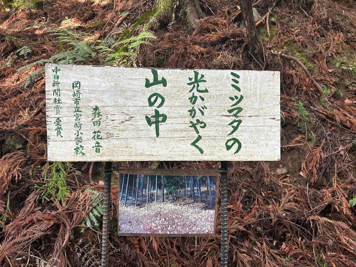 いいね😊👍