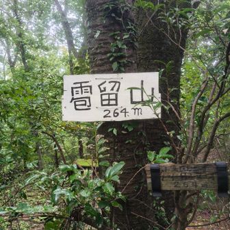 ここは、2回目だなー😀