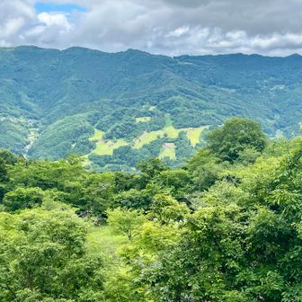 いつも見ている景色の裏側にゴルフ場があることを初めて知った。