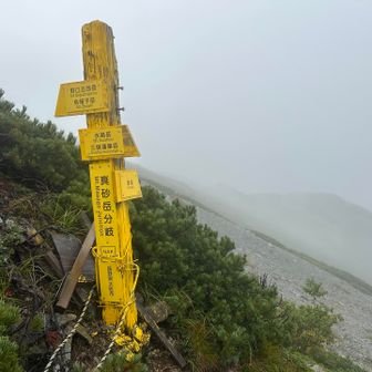 真砂岳分岐↔️
次は水晶の方へ歩きたい！と思いながら、今回は湯俣方面へ🚶‍♀️