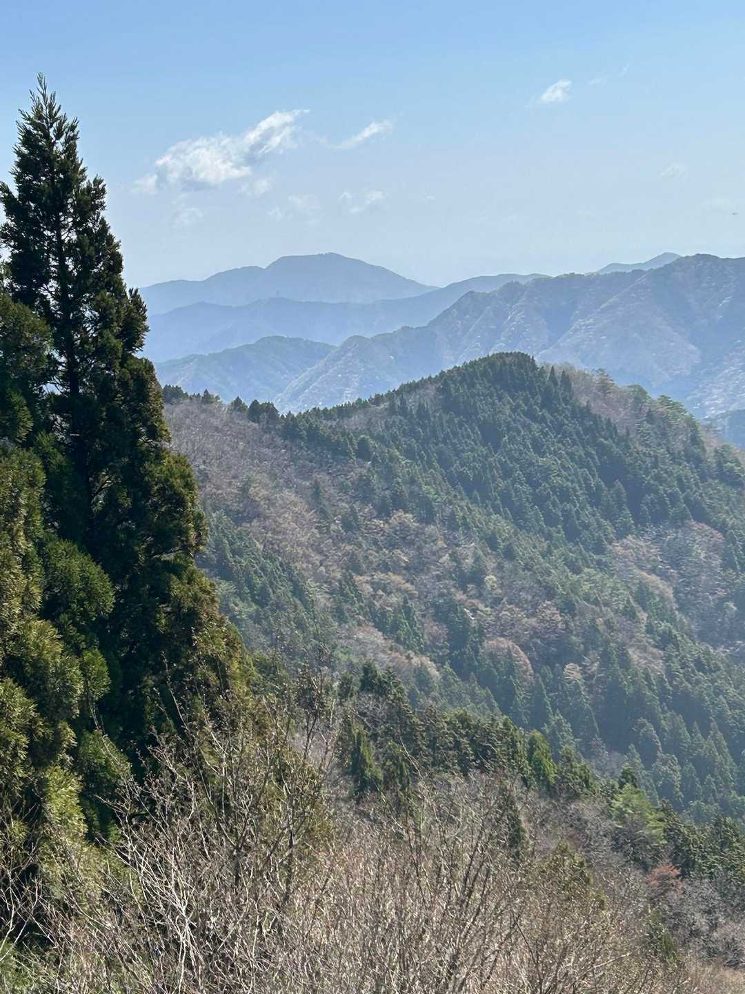 景色を眺めながら稜線に沿って下山します💨